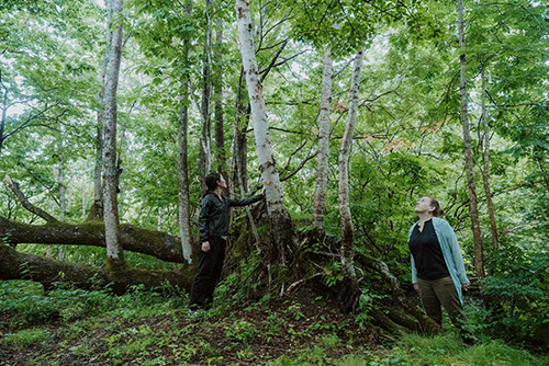 Appi Nature Tour